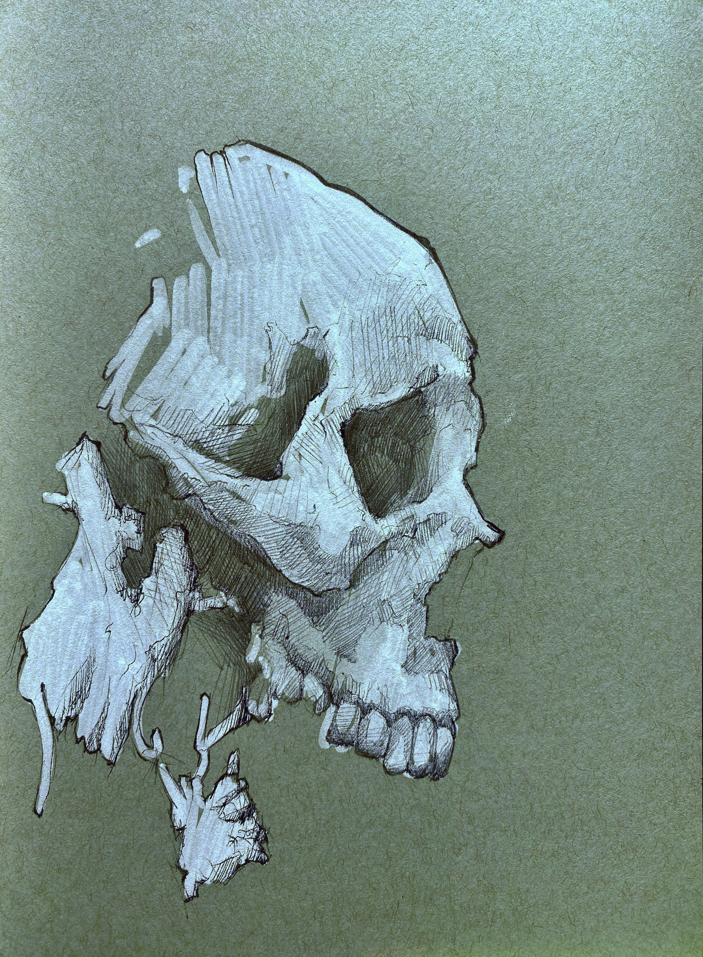 Sketch (study) 7