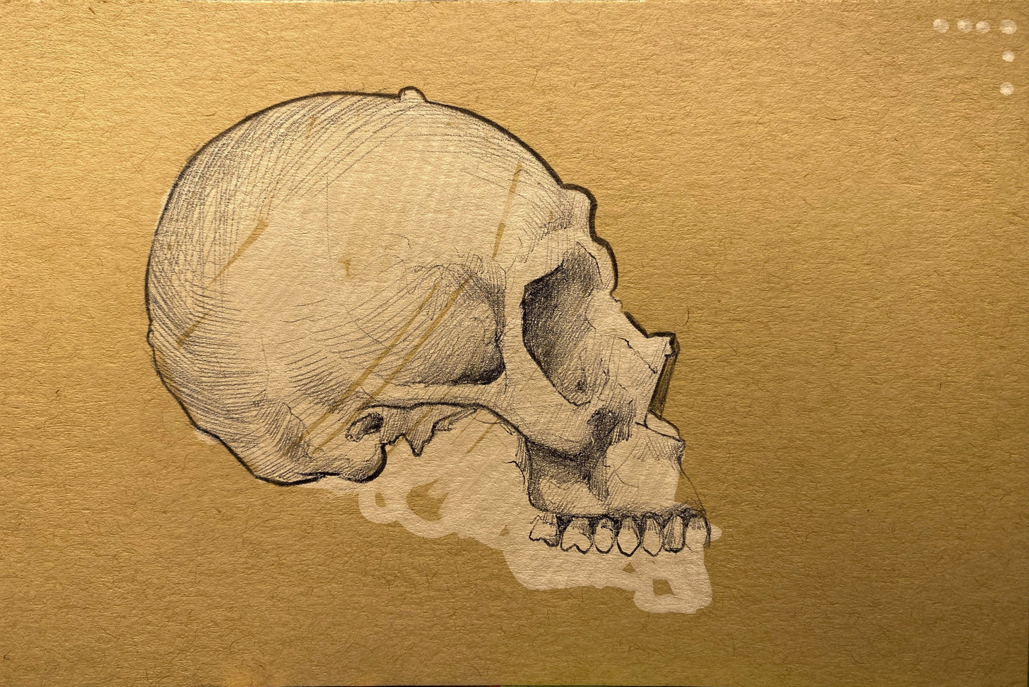 4X6 inch Skul study