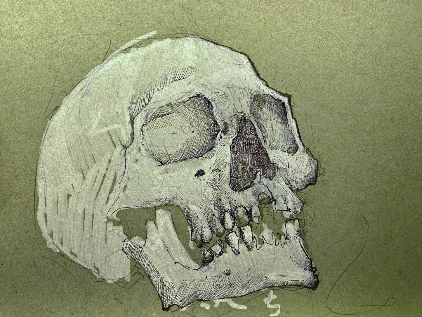 Sketch (study) 5