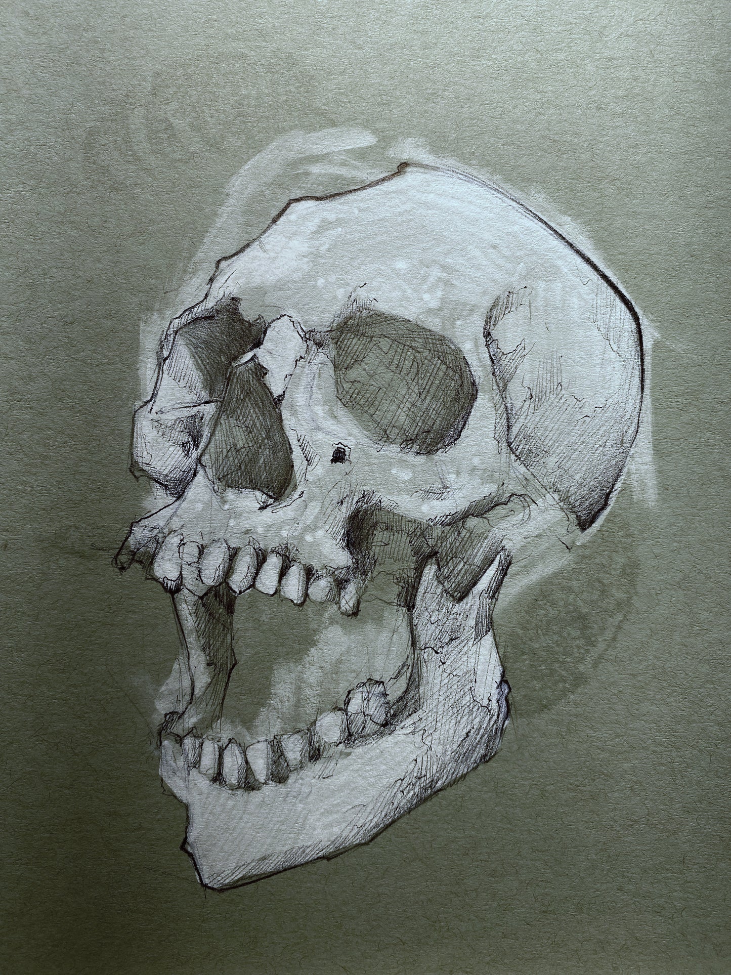 Sketch (study)