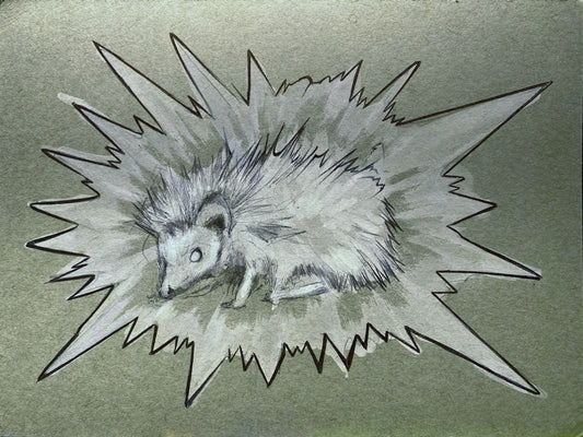 Albino Hedgehog. Sketch (study) 9