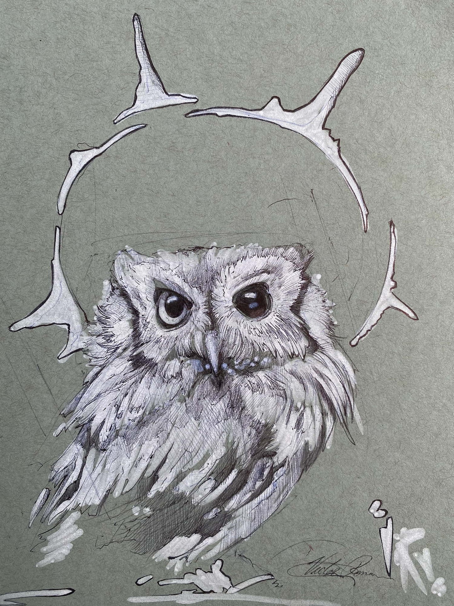 Owl Sketch