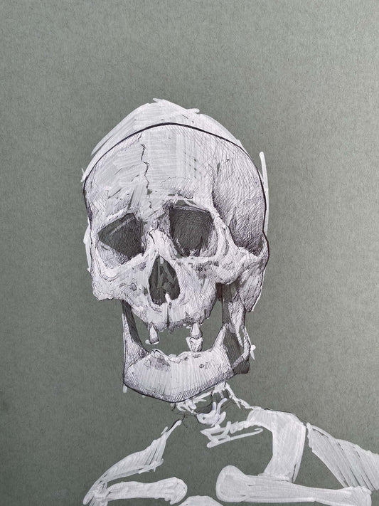 Toothless Skull Sketch